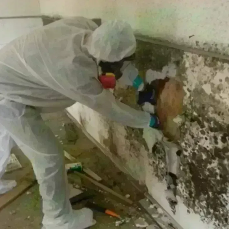 Mold Remediation and Removal in Okemos, MI